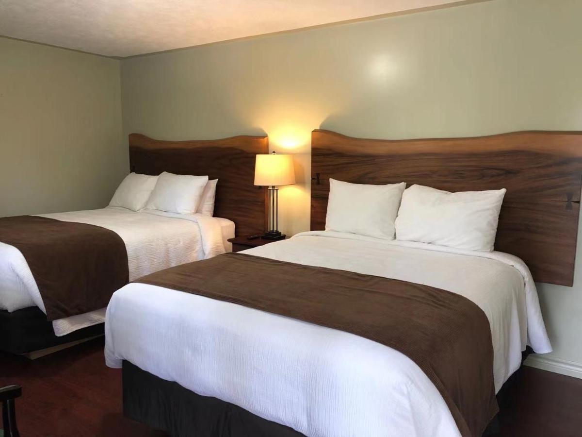 Adventure The Bruce Inn - Recently Renovated With Outdoor Hot Tub Tobermory Extérieur photo
